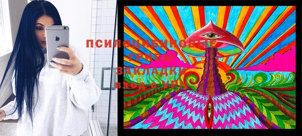 мяу мяу мука Касимов