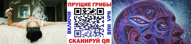 omg ссылки  Малаховка  Псилоцибиновые грибы Magic Shrooms 
